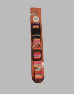 pink, lead, collar, stripe, cooper and pals, dog, canine, hound