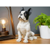 DOG TRAINING BAKERY ACCESSORIES THE TARTAN PAW