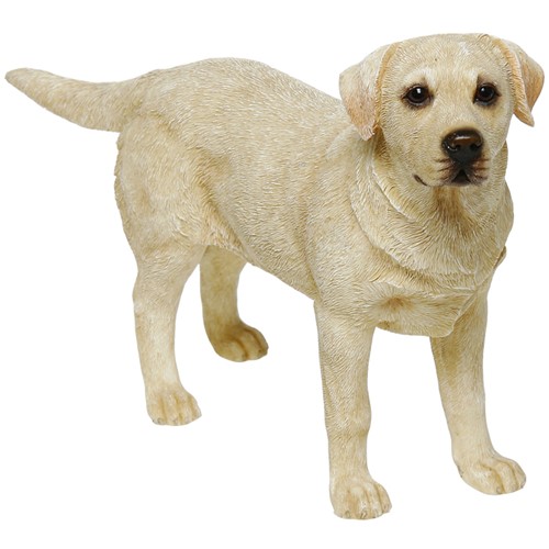 DOG TRAINING BAKERY ACCESSORIES THE TARTAN PAW