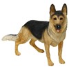 DOG TRAINING BAKERY ACCESSORIES THE TARTAN PAW