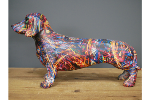 Dachshund large 2024